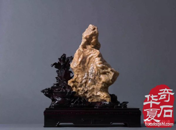 上海市观赏石协会向全国石友拜年！