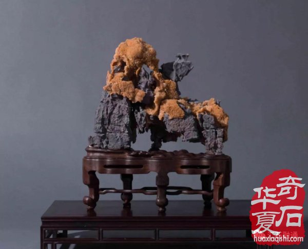 上海市观赏石协会向全国石友拜年！