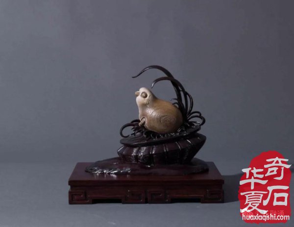 上海市观赏石协会向全国石友拜年！