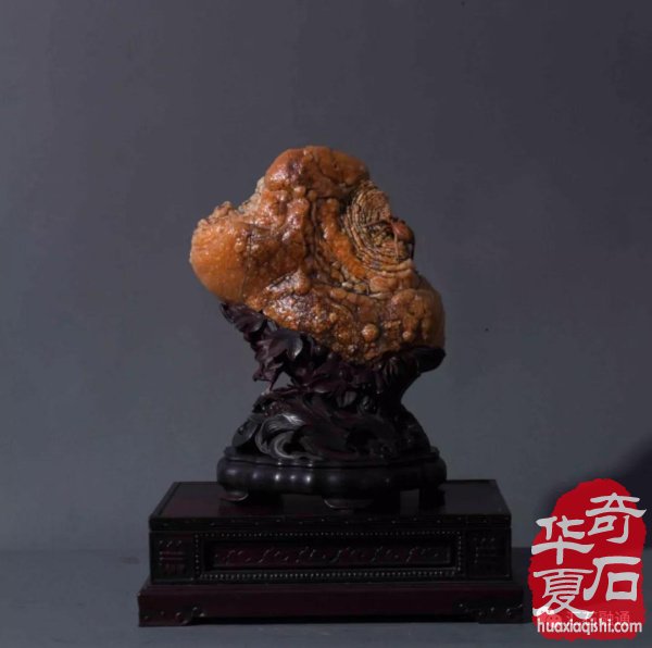 上海市观赏石协会向全国石友拜年！