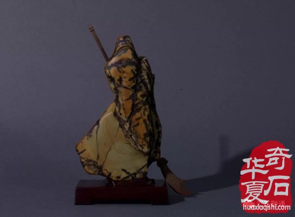 上海市观赏石协会向全国石友拜年！