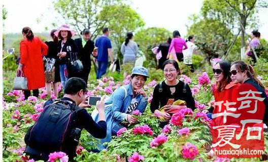 到洛阳参加培训班旅游观花赏石交友学知识 图