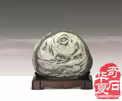 玩石头的格局有多大 你的舞台就有多大