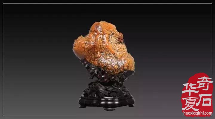 年后首场大展与您相约太原 10大亮点闪耀登场
