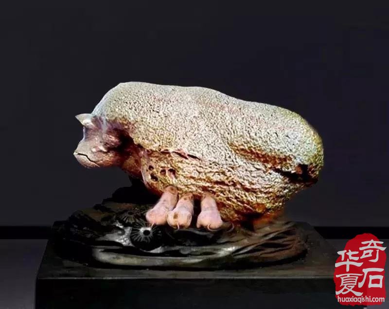 年后首场大展与您相约太原 10大亮点闪耀登场