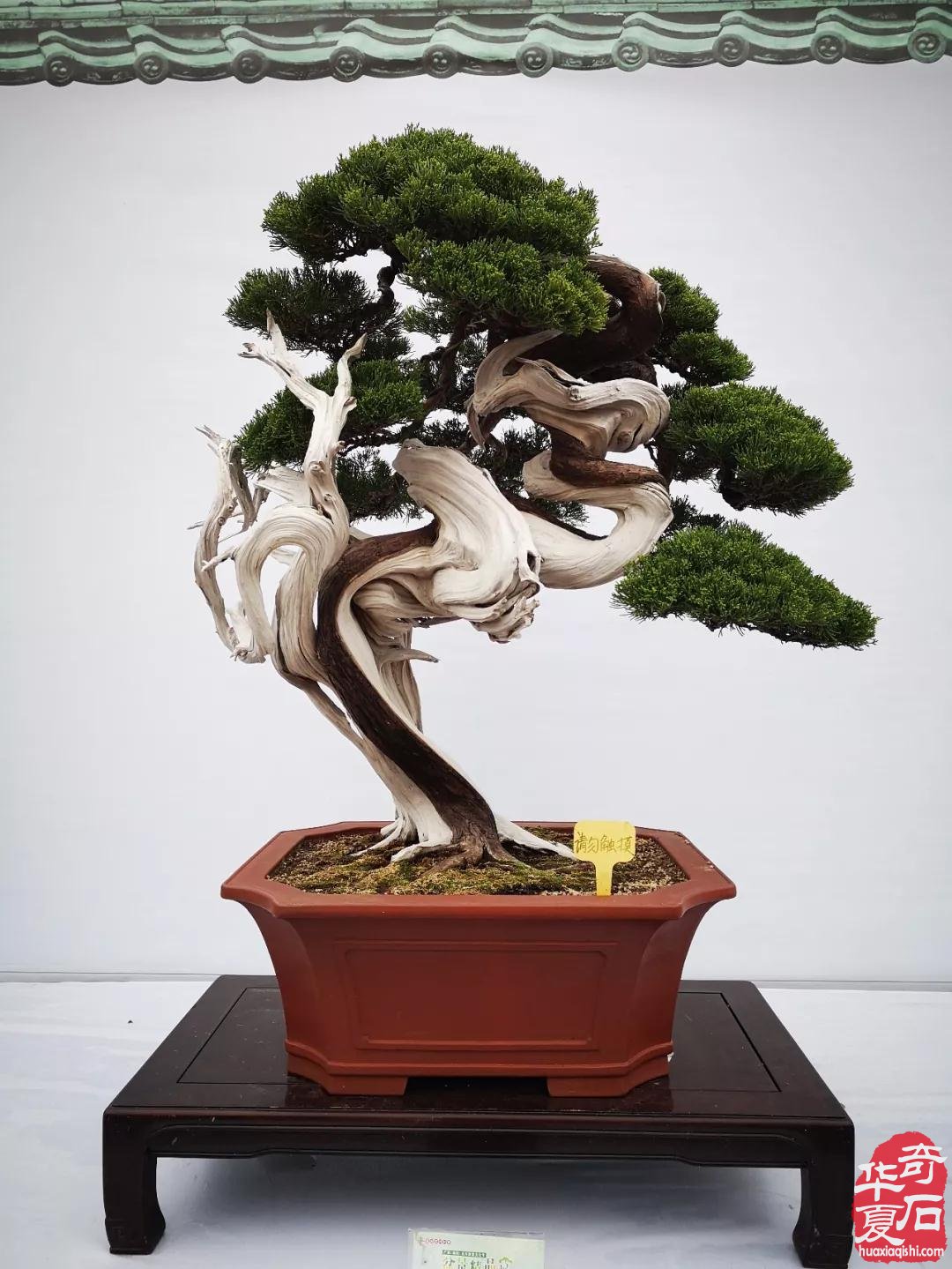 年后首场大展与您相约太原 10大亮点闪耀登场