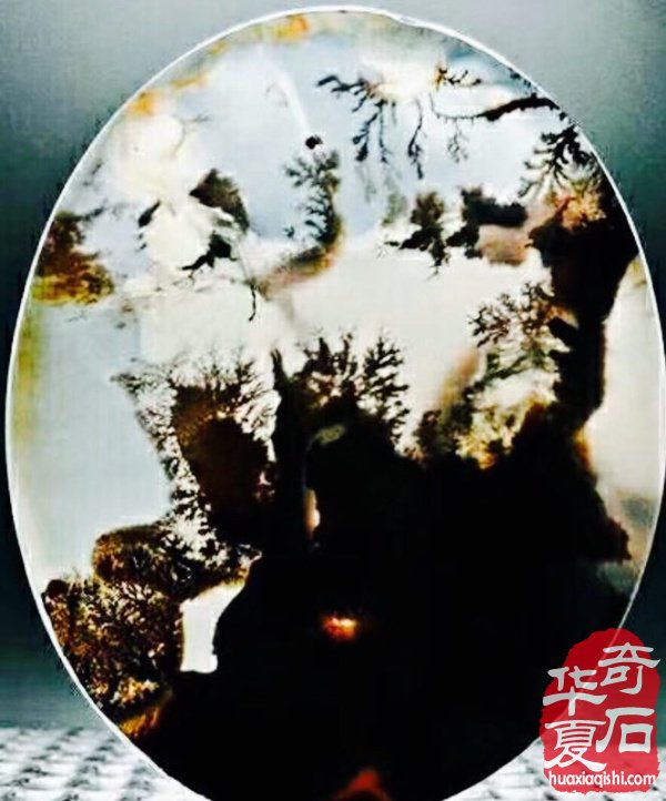 石界藏家崔周村先生奇石根艺欣赏 图