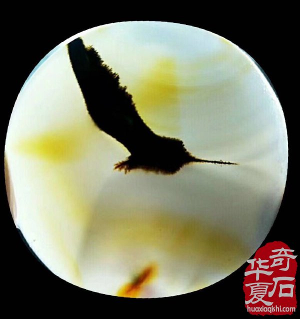 石界藏家崔周村先生奇石根艺欣赏 图
