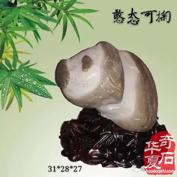 陕南最大、最精品奇石馆落户安康，周发猛艺术中心新年钜献