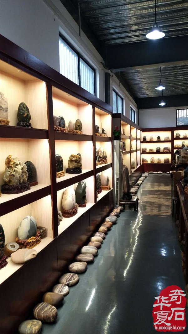 洛阳石界玩家王文珺先生藏品欣赏 图