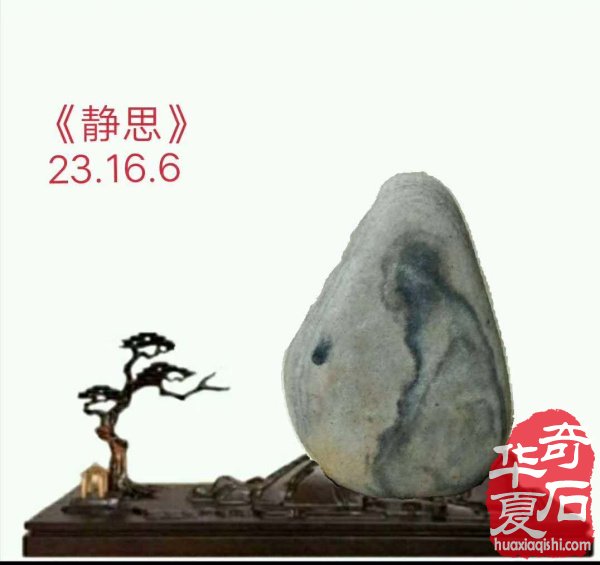 洛阳石界玩家王文珺先生藏品欣赏 图