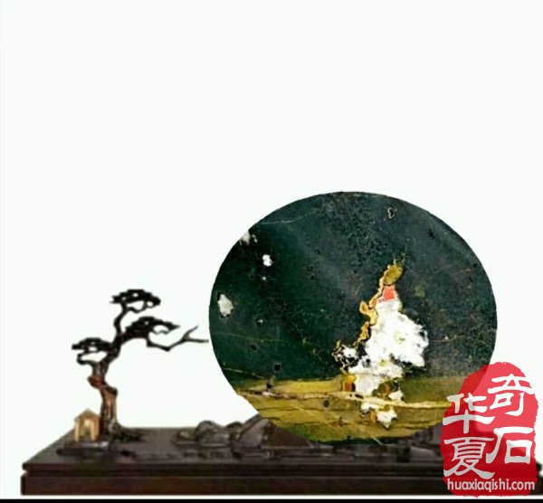 洛阳石界玩家王文珺先生藏品欣赏 图
