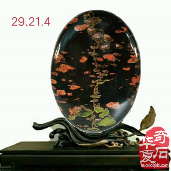 洛阳石界玩家王文珺先生藏品欣赏 图