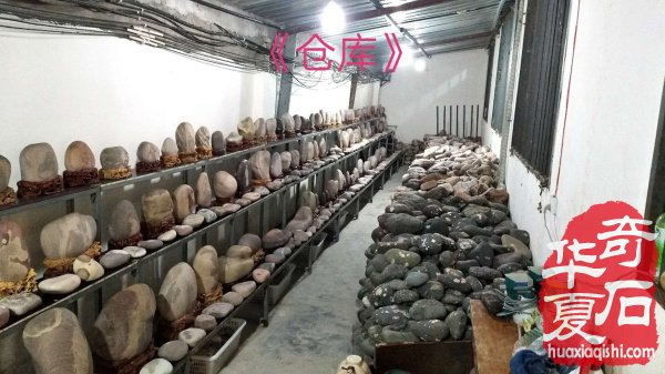 洛阳石界玩家王文珺先生藏品欣赏 图