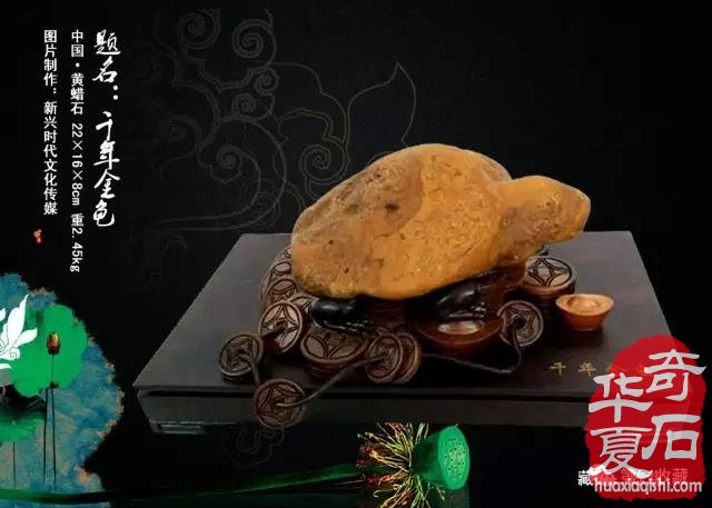 奇石收藏：天然为上品 图