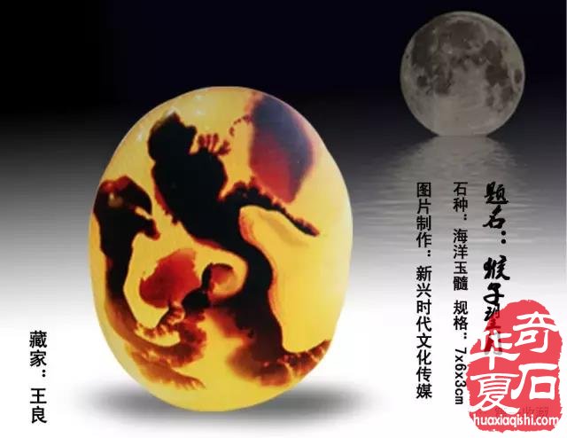 奇石收藏：天然为上品 图