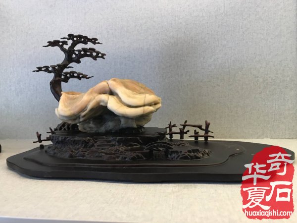 太原石展，产业研究专委会能做些什么