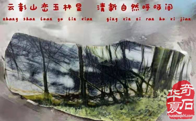 4月1日洛阳石展我们宽甸玉树石来了 图