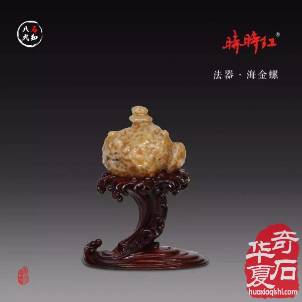 洛阳赏石名家大藏家袁玉良太原参展作品