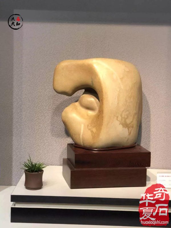 洛阳赏石名家大藏家袁玉良太原参展作品