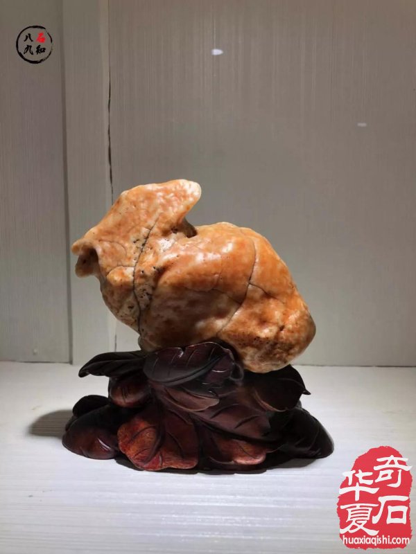 洛阳赏石名家大藏家袁玉良太原参展作品