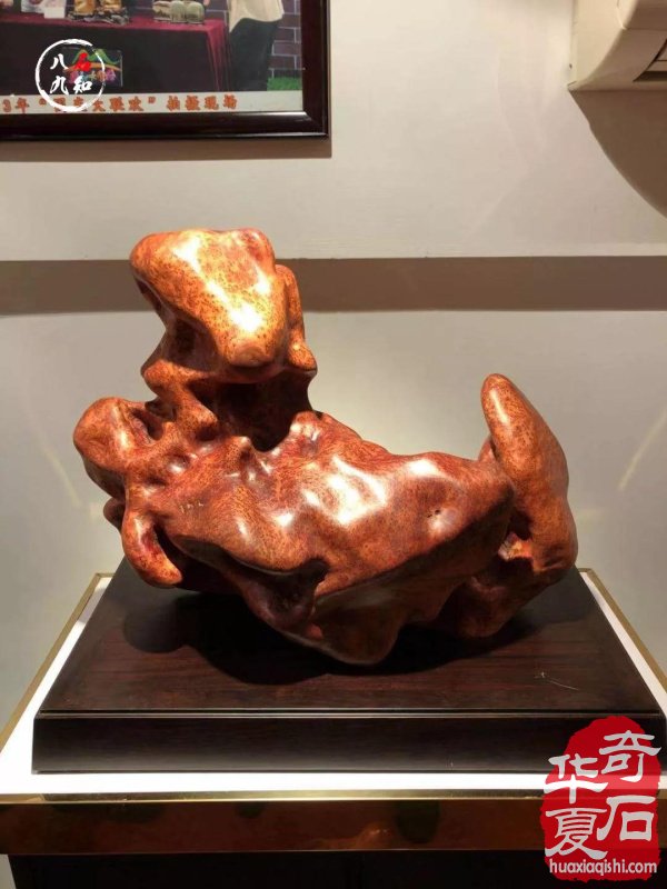 洛阳赏石名家大藏家袁玉良太原参展作品