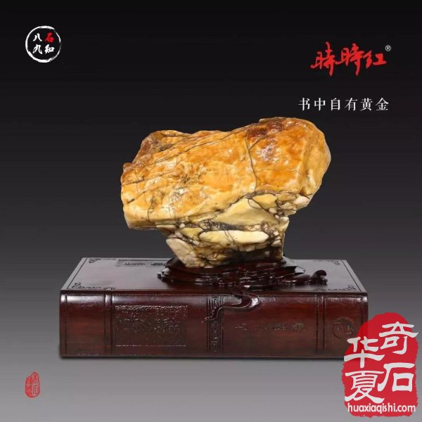 洛阳赏石名家大藏家袁玉良太原参展作品