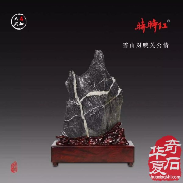 洛阳赏石名家大藏家袁玉良太原参展作品
