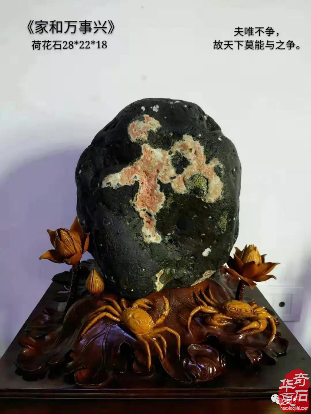 太原三月展 尽赏荷花开 图