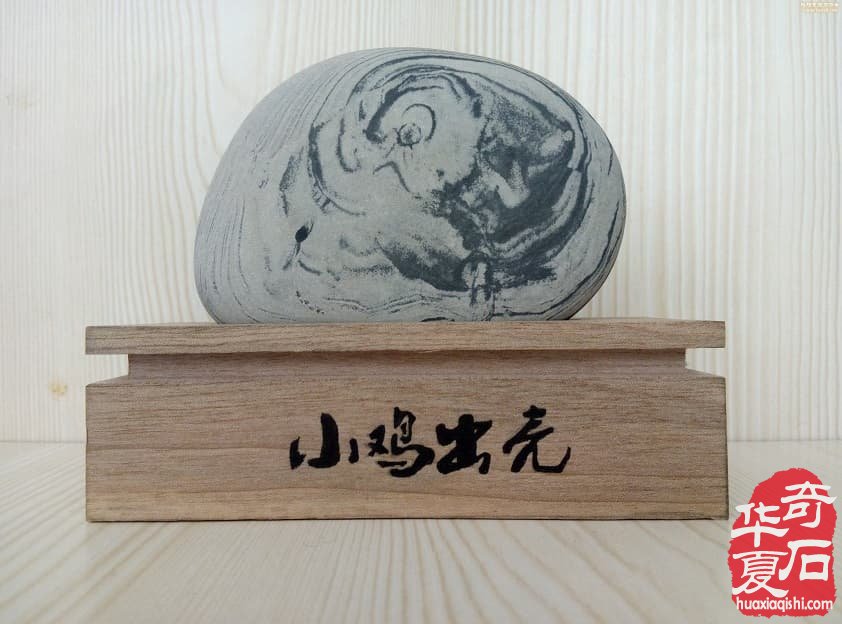墨画石《小鸡出壳》出征亮相石家庄