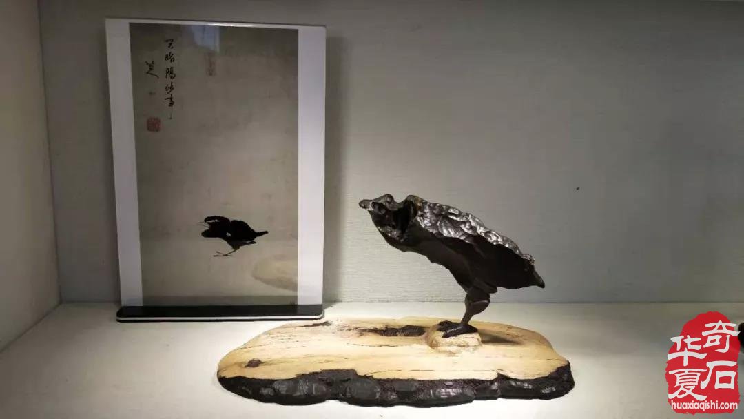 觅石奇谭：关于奇石捡漏之陋见 图