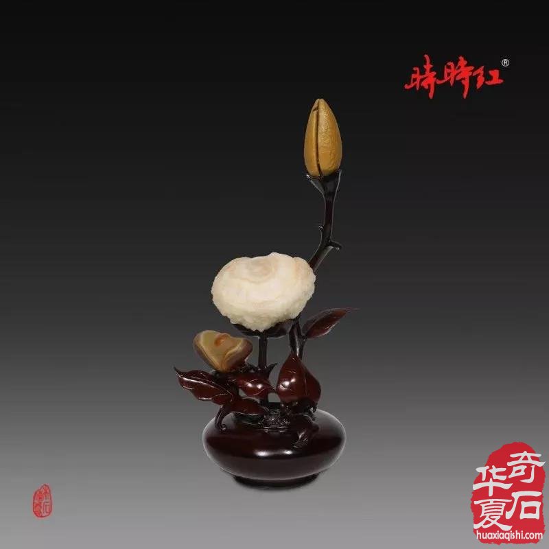 觅石奇谭：关于奇石捡漏之陋见 图