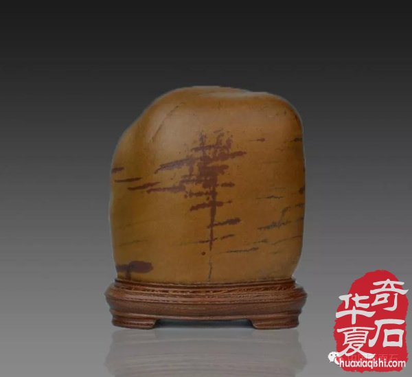 邂逅奇石 一路走来爱情收藏满满