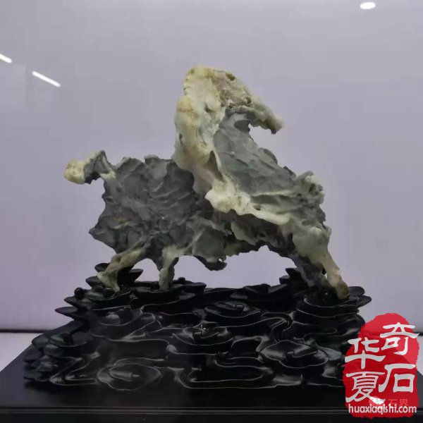 石家庄石博会隆重开幕​ 精品荟萃琳琅满目