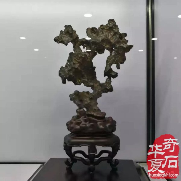 石家庄石博会隆重开幕​ 精品荟萃琳琅满目