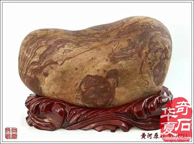 2019中国（洛阳）石展黄河石精品抢先看 组图