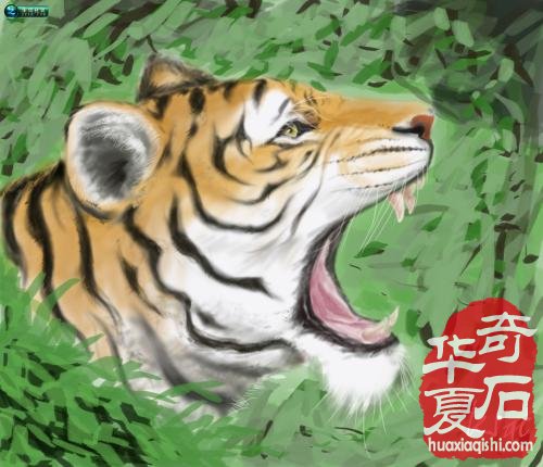 每日一石:黄河石《 虎啸》赏析 图