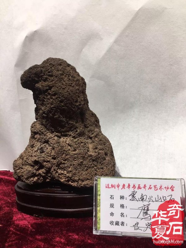 湖南省华菱涟钢书画奇石艺术协会2018年年会