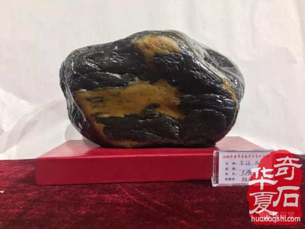 湖南省华菱涟钢书画奇石艺术协会2018年年会