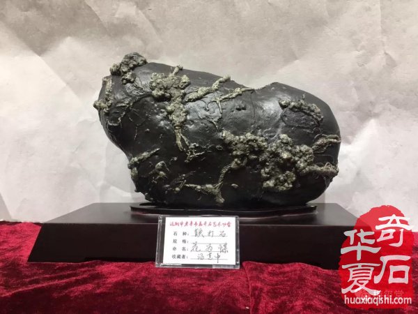湖南省华菱涟钢书画奇石艺术协会2018年年会