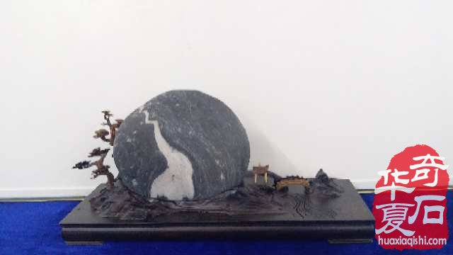 异军突起的汉江石即将登陆洛阳石展