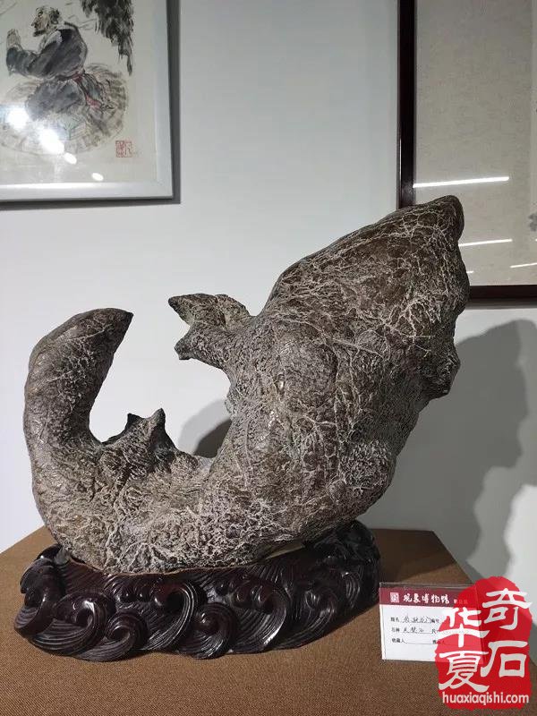 观象博物馆灵璧石精品展隆重开幕 