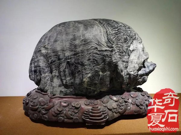 观象博物馆灵璧石精品展隆重开幕 