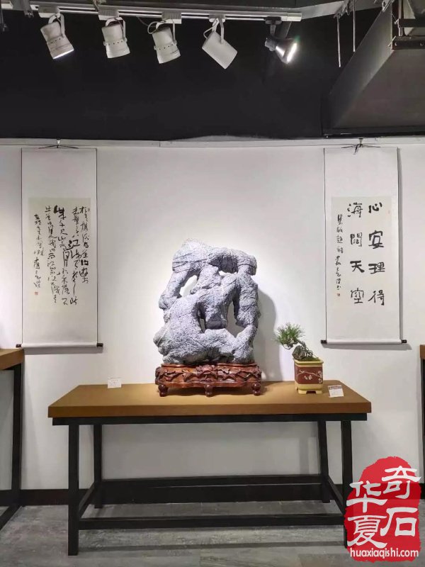 观象博物馆灵璧石精品展隆重开幕 