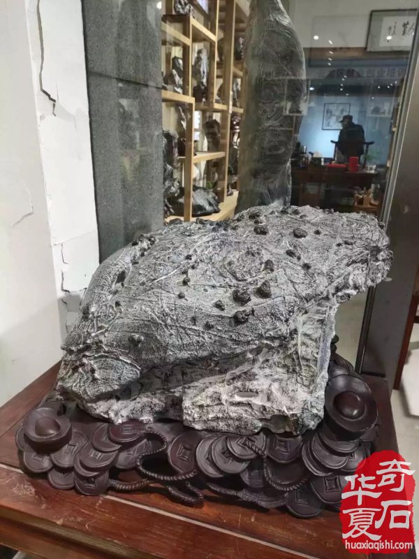 观象博物馆灵璧石精品展隆重开幕 