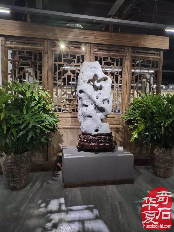 观象博物馆灵璧石精品展隆重开幕 