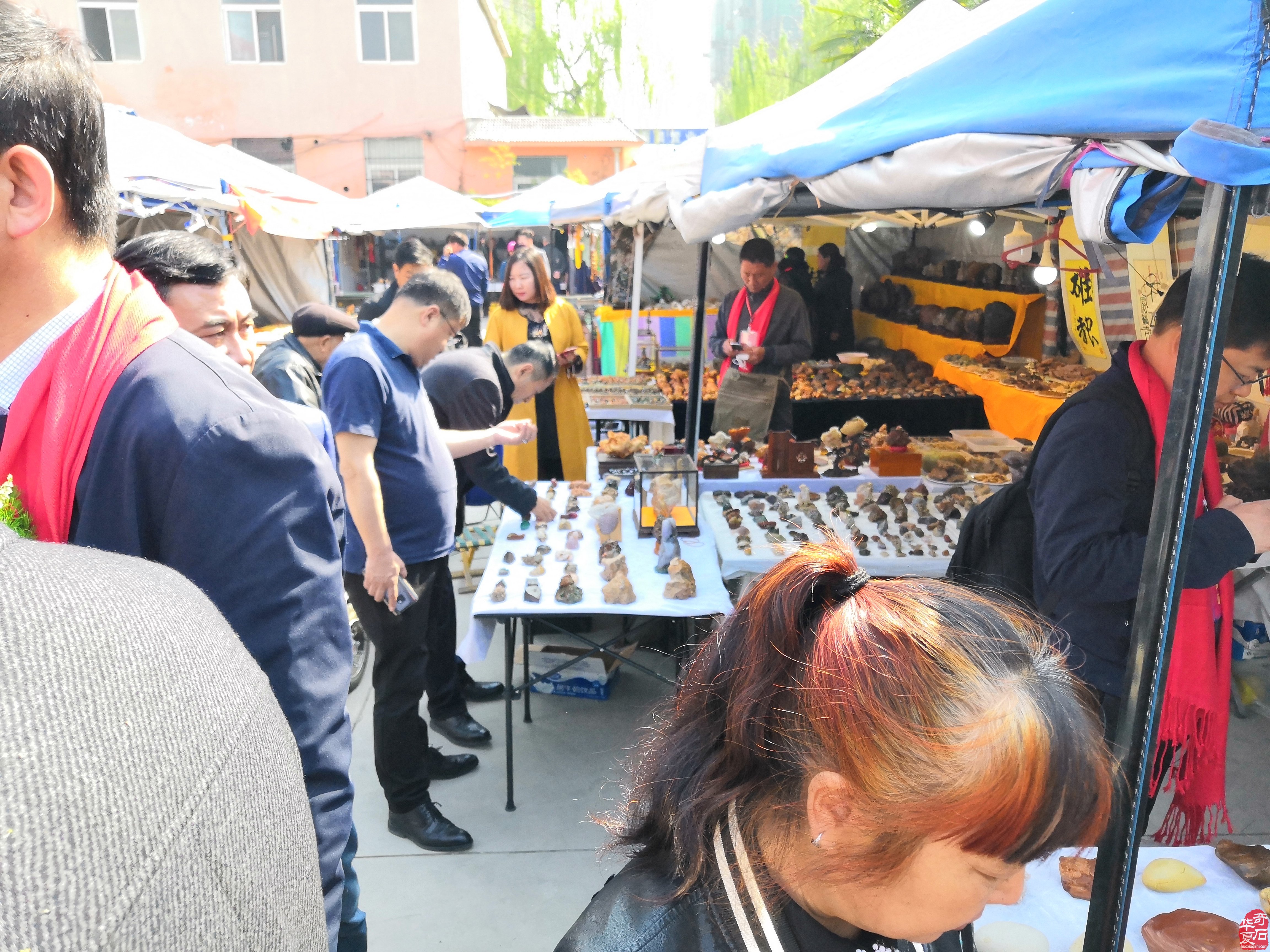 洛阳石展人物谱-------秦进生 图