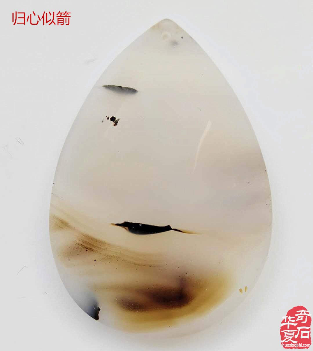 石界女中少杰赵铮铮洛阳石展小露峥嵘