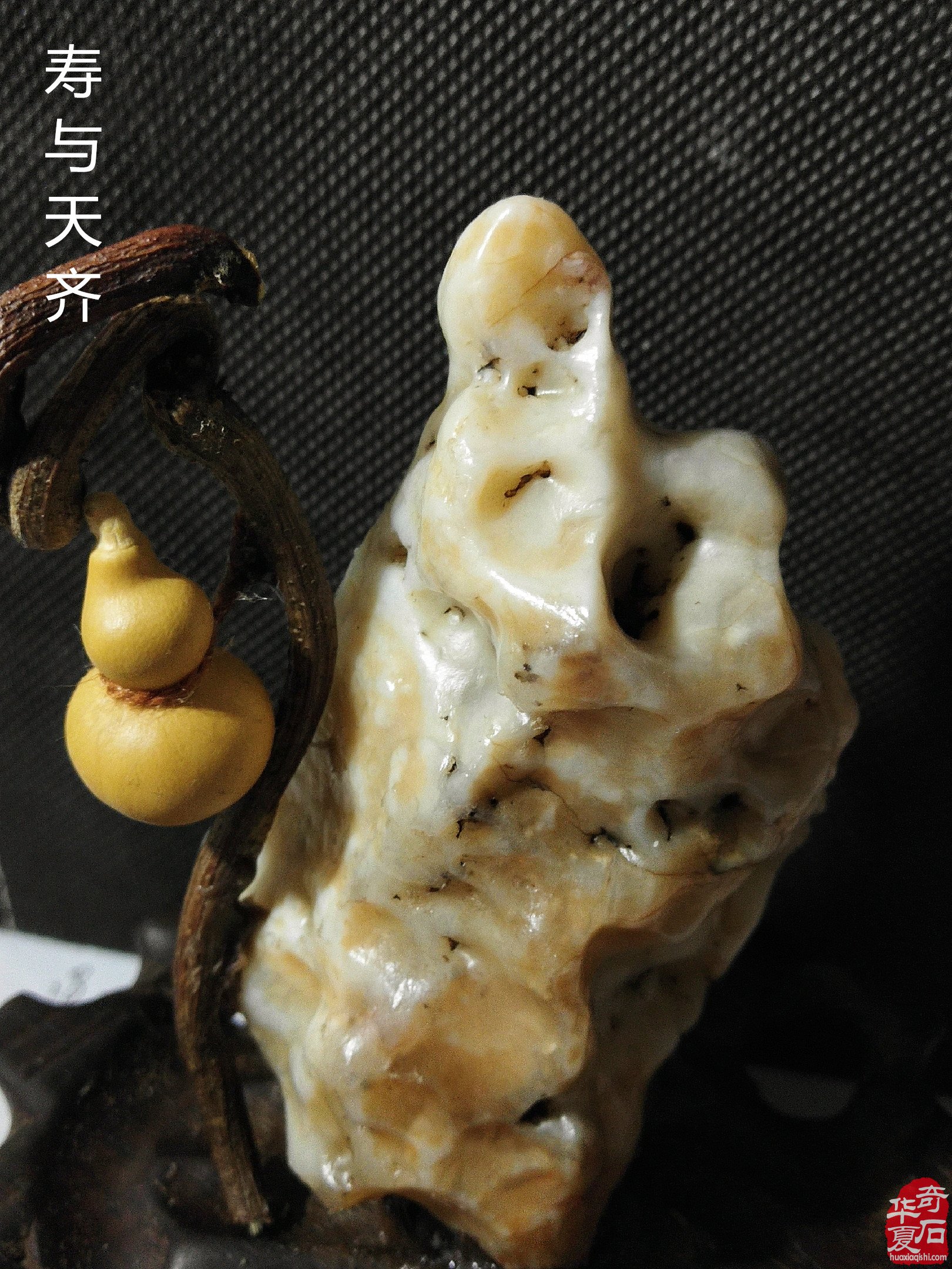 石界女中少杰赵铮铮洛阳石展小露峥嵘
