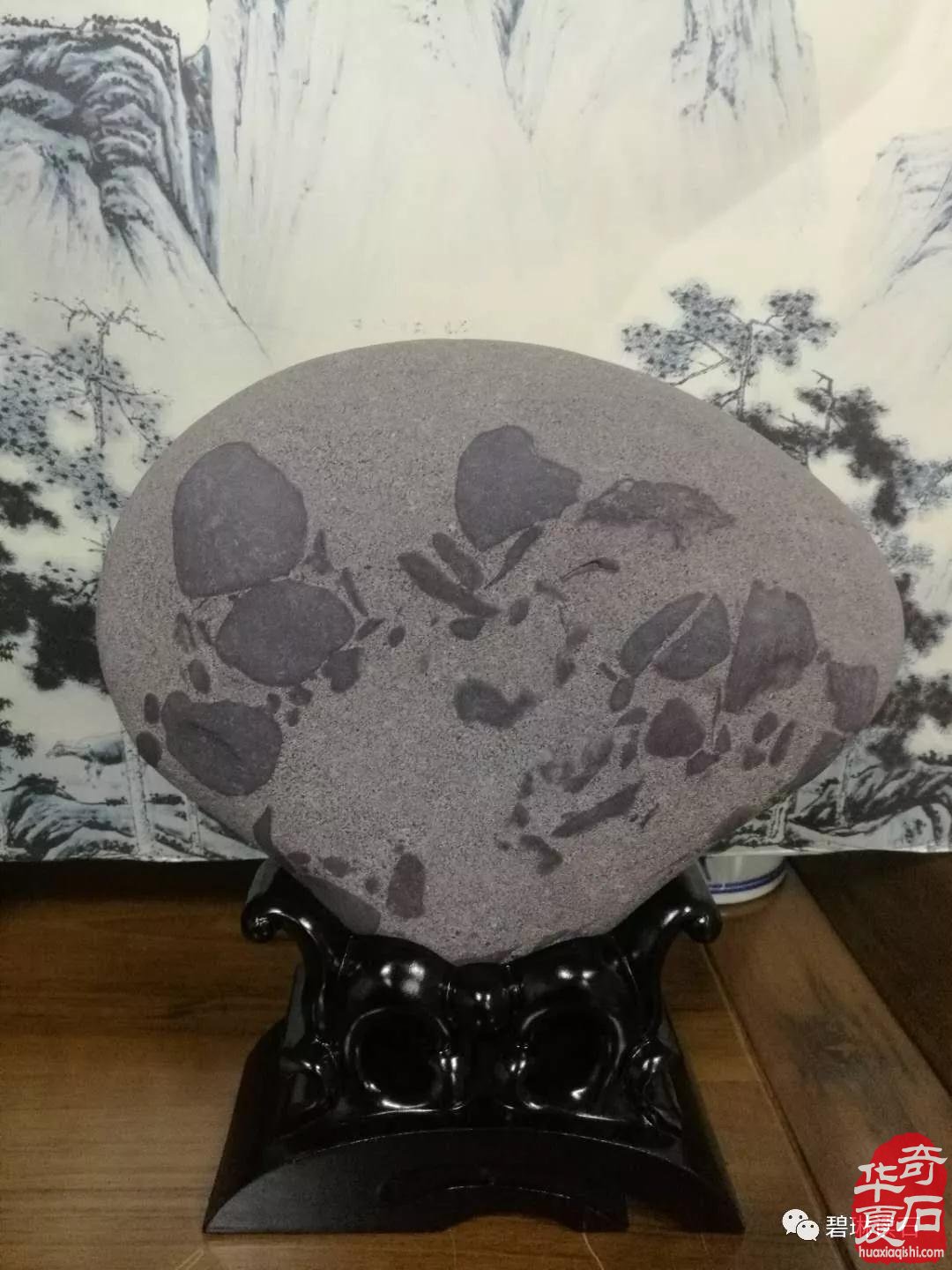 聚石友品评共赏紫砂图文石 图